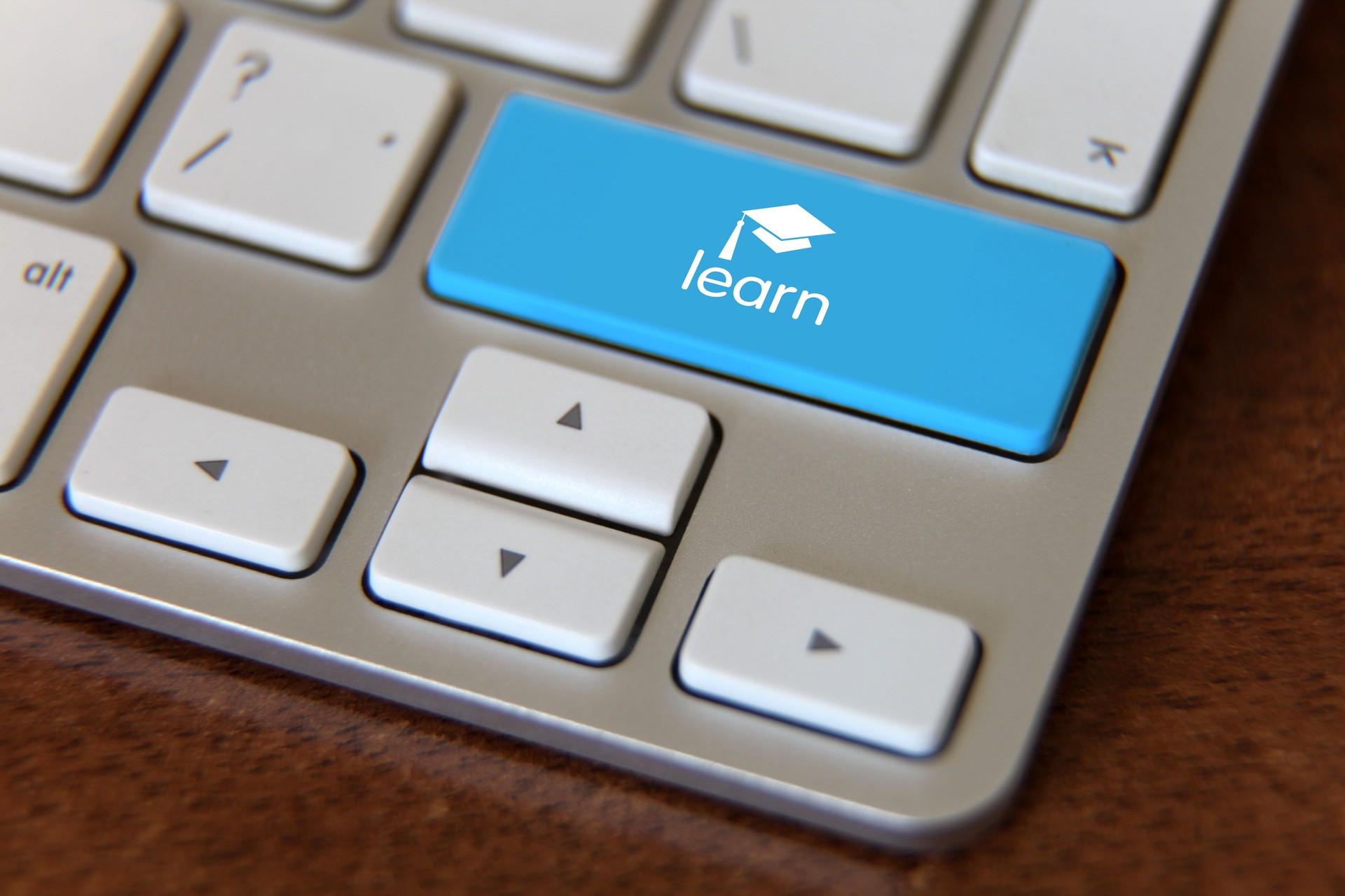 Online learning webinar e-learning